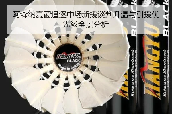 阿森纳夏窗追逐中场新援谈判升温与引援优先级全景分析